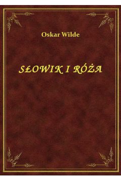 eBook Sowik I Ra epub