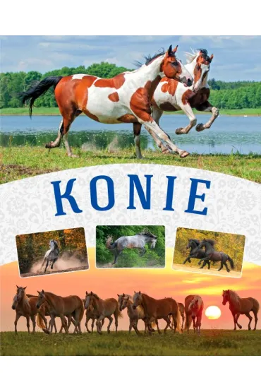 Konie - Ma�gorzata  M�kosa