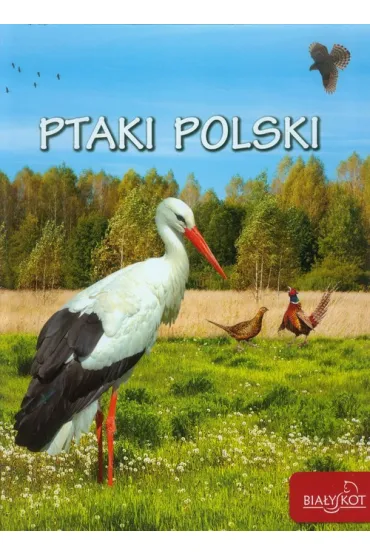 Ptaki Polski - El�bieta Zarych