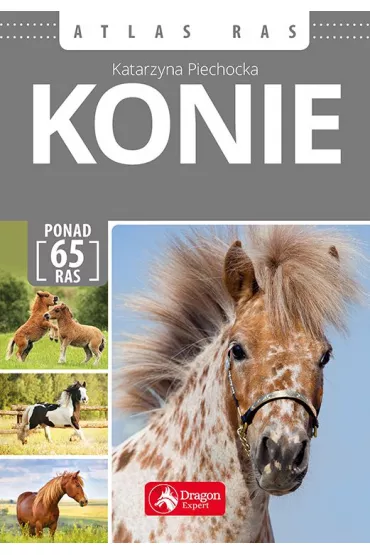Konie. Atlas ras - Katarzyna Piechocka