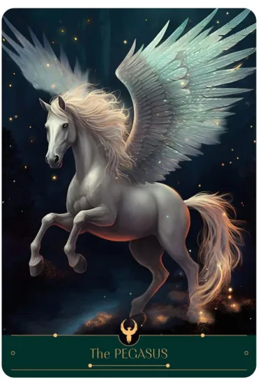 Phoenix Cards - Anne  Vonjahr