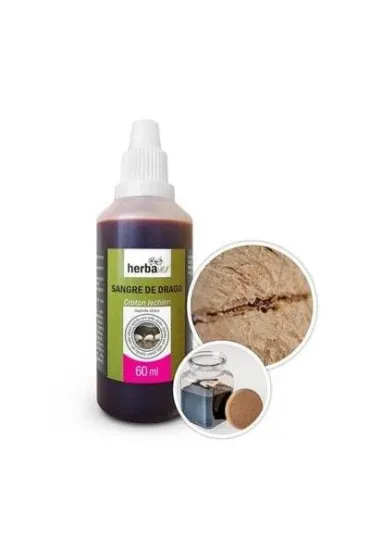 Herbavis Smocza krew Sangre de drago Suplement diety 60 ml