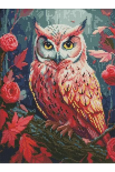 Ideyka Diamentowa mozaika - Kolorowa sowa 30x40cm