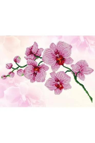 Dante Haft diamentowy - Orchidea DD6034 49x39cm