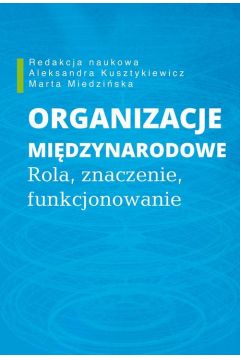 eBook Organizacje midzynarodowe pdf