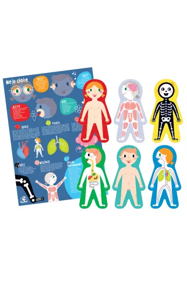 Duuu�e Puzzle Moje Cia�o Bright Junior Media