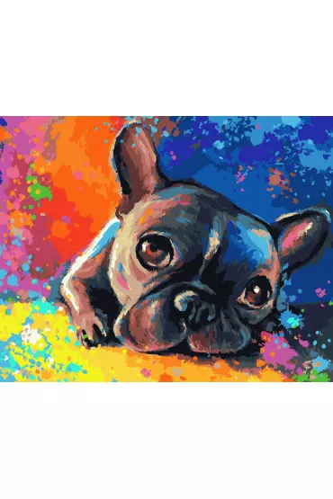 Twoje Hobby Malowanie po numerach - Buldog francuski 40x50cm