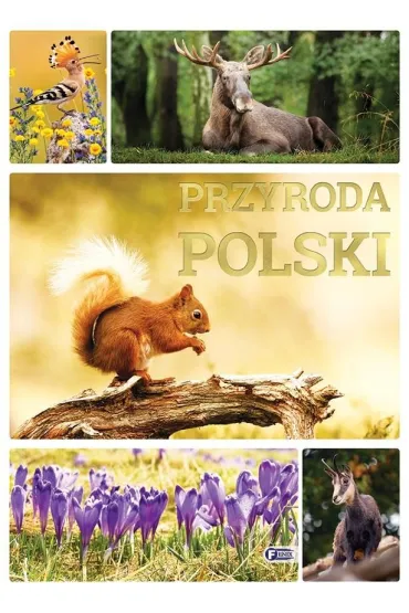 Przyroda Polski