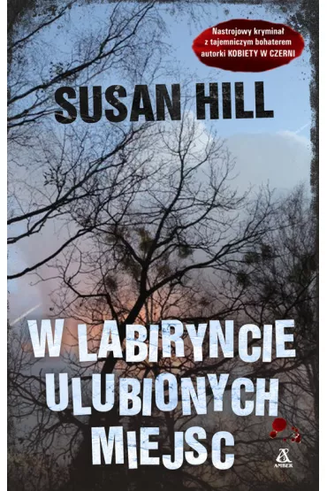 W labiryncie ulubionych miejsc - Susan Hill