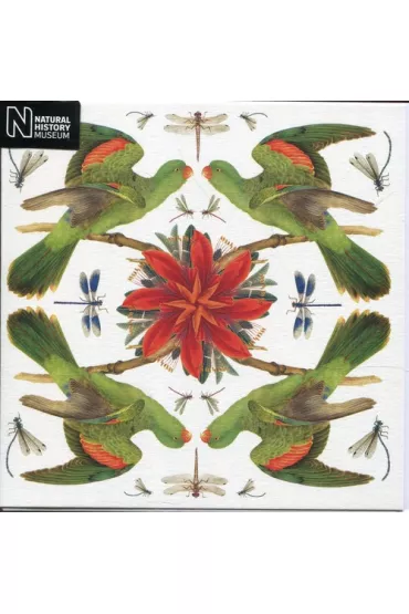 Museums & Galleries Karnet kwadrat z kopert� Red-winged Parrot