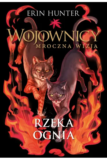 Rzeka ognia. Cykl Wojownicy. Mroczna wizja. Tom 5 - Erin Hunter