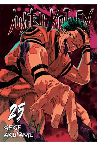 Jujutsu Kaisen. Tom 25 - Gege Akutami