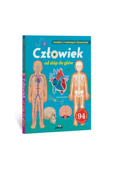 Cz�owiek od st�p do g��w. Ksi��ka z ruchomymi elementami - David Hawcock