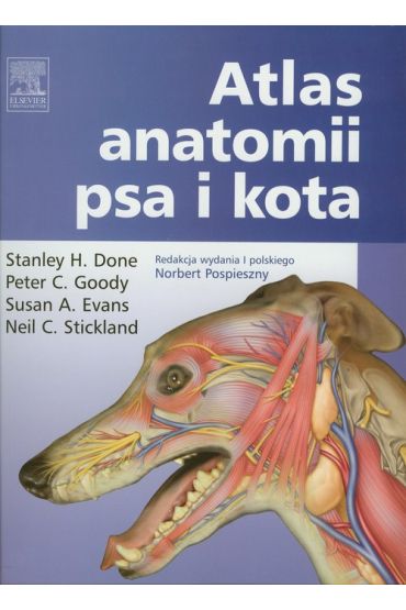 Atlas anatomii psa i kota