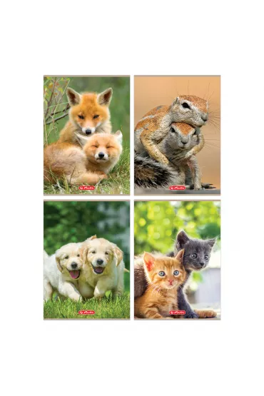 Herlitz Zeszyt A4 Animals mix kratka 32 kartki