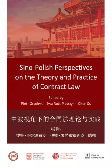 Sino-Polish Perspectives on the Theory and... - Ewa Rott-Pietrzyk, Piotr Grzebyk, Chen Su