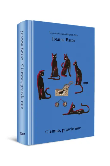 Ciemno, prawie noc - Joanna Bator
