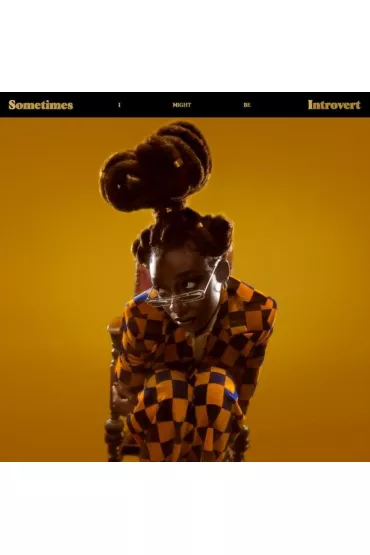 Little Simz『Sometimes I Might Be...』 Sometimes I Might Be Introvert (vinyl) Little Simz