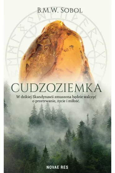 Cudzoziemka - B.M.W. Sobol