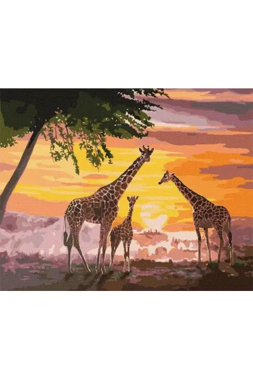 Ideyka Malowanie po numerach - Rodzina �yraf 40x50cm