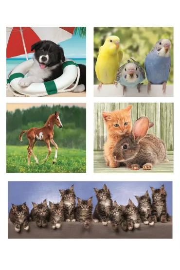 Puzzle 10w1 SuperColor. Animal Friends Clementoni