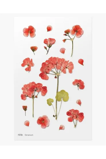Appree Naklejki ozdobne kwiaty Geranium