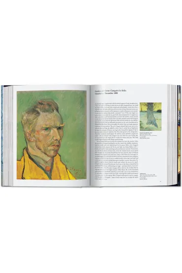 Van Gogh The Complete Paintings wer. angielska - Rainer  Metzger, Ingo F. Walther