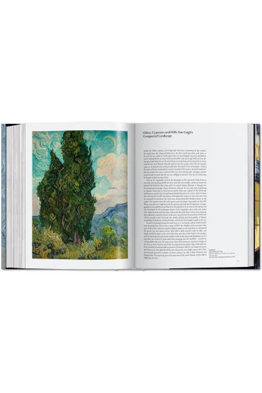 Van Gogh The Complete Paintings wer. angielska - Rainer  Metzger, Ingo F. Walther