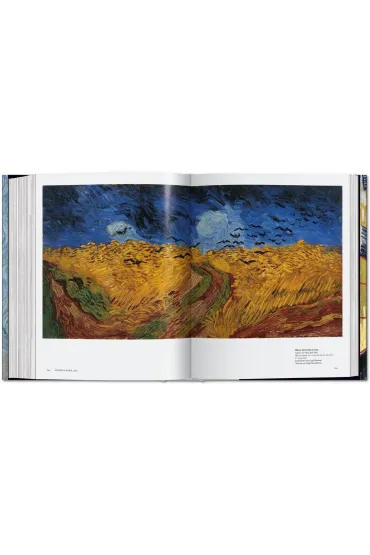 Van Gogh The Complete Paintings wer. angielska - Rainer  Metzger, Ingo F. Walther
