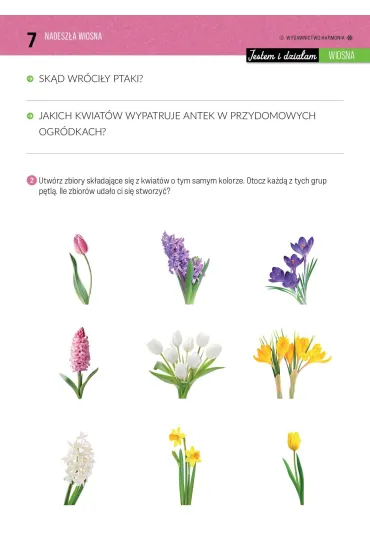Jestem i dzia�am Wiosna Materia�y dla uczni�w z niepe�nosprawno�ci� intelektualn� - Weronika  Ziemak