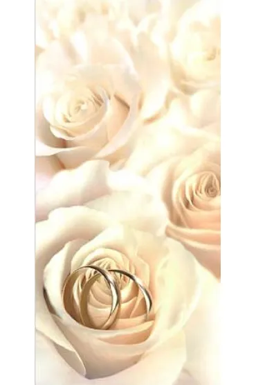 Art Nuvo Karnet �lub DL S03