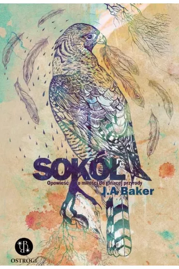 Sok� Opowie�� o mi�o�ci do gin�cej przyrody - John Alec  Baker