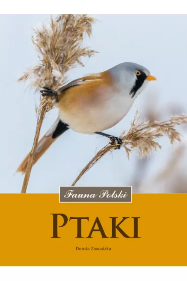 Ptaki. Fauna Polski - Dorota Zawadzka