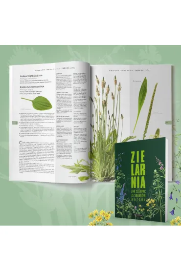 Zielarnia. Jak czerpa� ze skarb�w natury