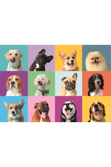 Puzzle 300 el. Super Funny Faces Clementoni