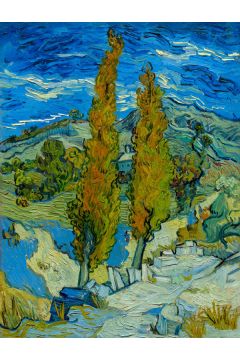 Vincent Van Gogh, The Poplars at Saint-Rmy - plakat 42x59,4 cm