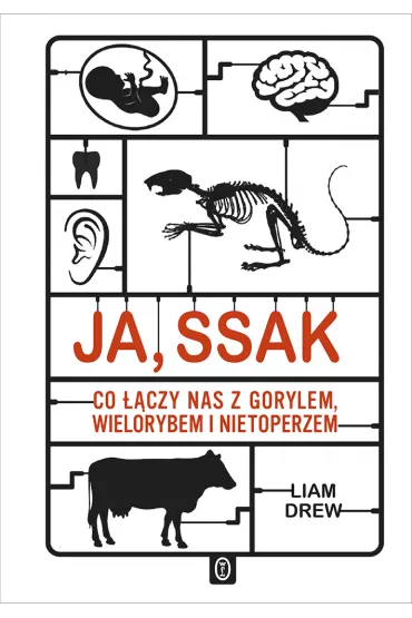Ja, ssak. Co ��czy nas z gorylem, wielorybem i ... - Liam Drew
