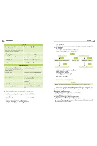 Repetytorium maturzysty 2022. J�zyk polski. Poziom podstawowy i rozszerzony - Agnieszka Sabak, Anna Pop�awska, Barbara W�odarczyk, Katarzyna �wi�ka�a, Monika Borkowska, Wojciech Rzehak, Katarzyna Duda-Kaptur