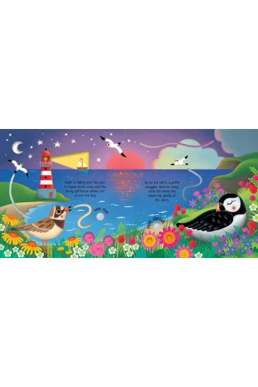 Seashore Sounds wer. angielska - Sam Taplin