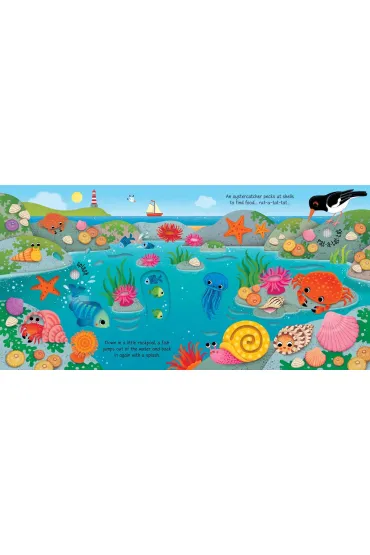 Seashore Sounds wer. angielska - Sam Taplin
