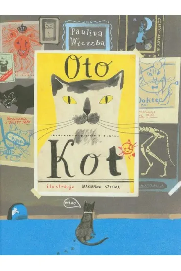 Oto kot - Paulina Wierzba