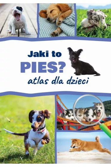 Jaki to pies? Atlas dla dzieci - Anna  Iglikowska