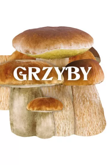 Grzyby