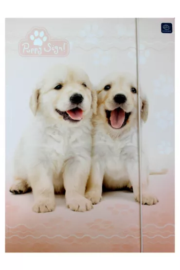 Teczka A4 z gumk Puppy sign