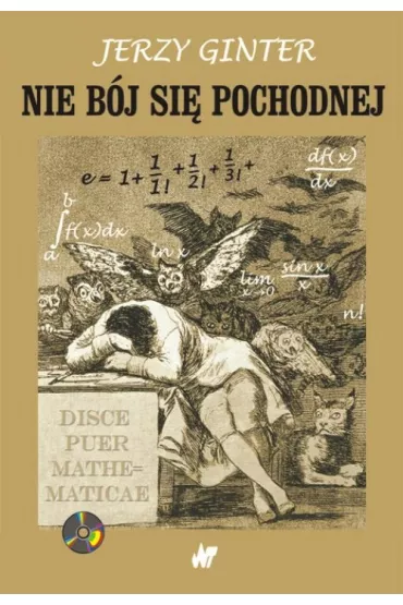 Nie b�j si� pochodnej - Jerzy Ginter