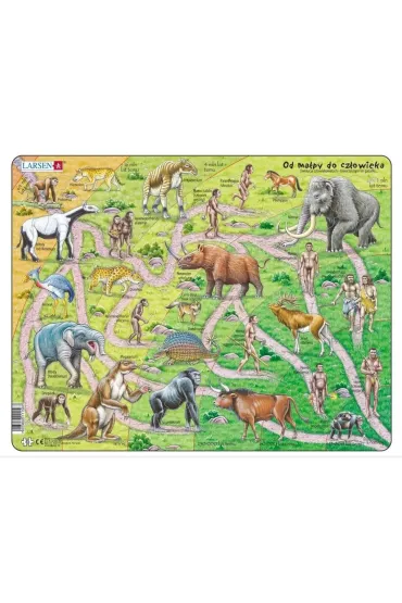 Puzzle 83 el. Droga od ma�py do cz�owieka Larsen