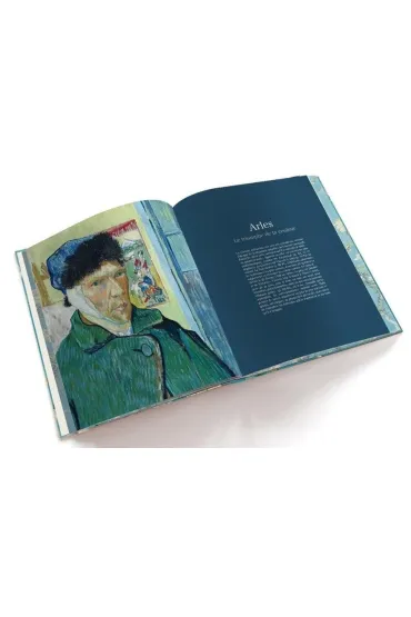 Van Gogh. The bigger picture wer. angielska - Anne  Sefrioui