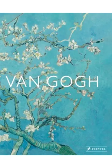 Van Gogh. The bigger picture wer. angielska - Anne  Sefrioui