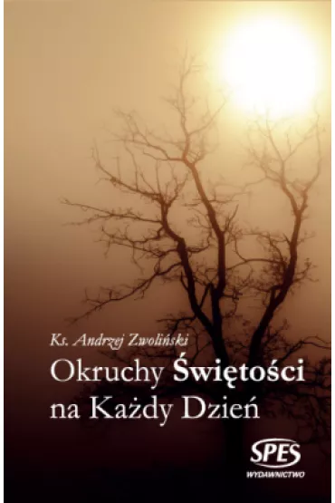 Okruchy �wi�to�ci na ka�dy dzie� - Andrzej Zwoli�ski