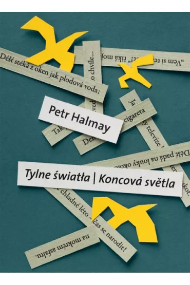 Tylne �wiat�a - Koncova svetla - Halmay Petr